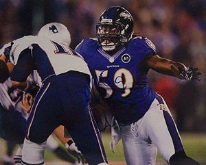 Dannell Ellerbe Signed Autographed Glossy 8x10 Photo - Baltimore Ravens