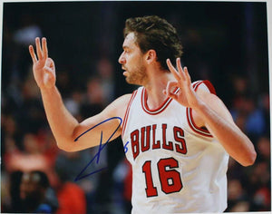 Pau Gasol Signed Autographed Glossy 11x14 Photo Chicago Bulls - COA Matching Holograms