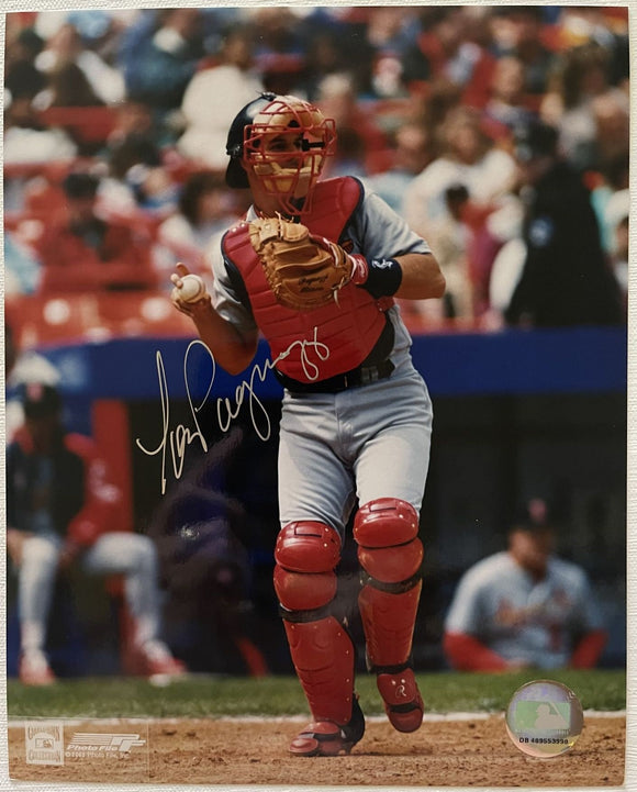 Tom Pagnozzi Signed Autographed Glossy 8x10 Photo - St. Louis Cardinals