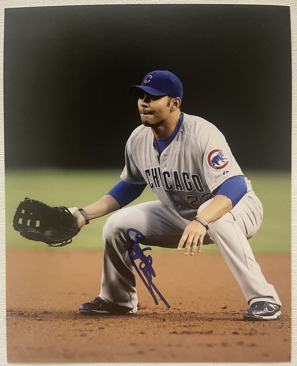Carlos Pena Signed Autographed Glossy 8x10 Photo - Chicago Cubs